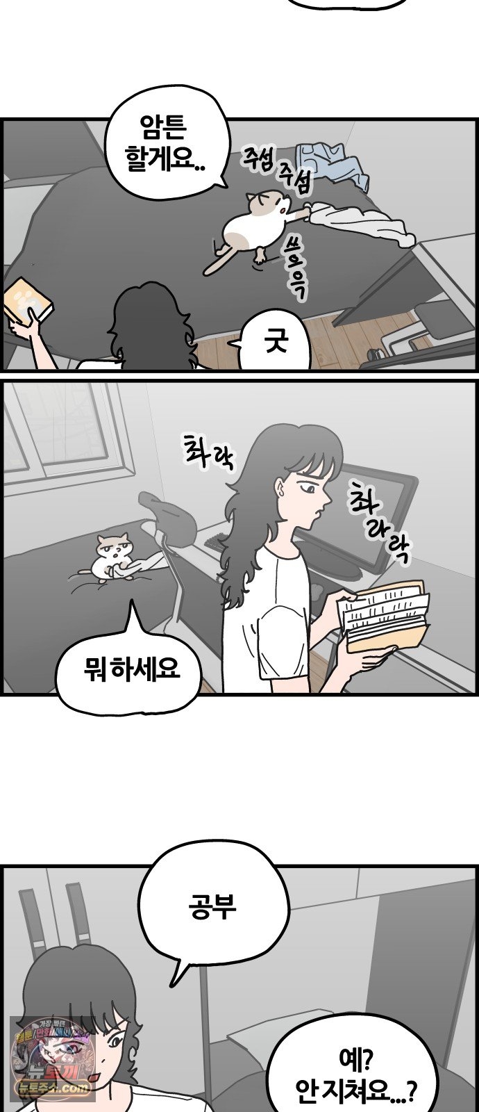 006.jpg