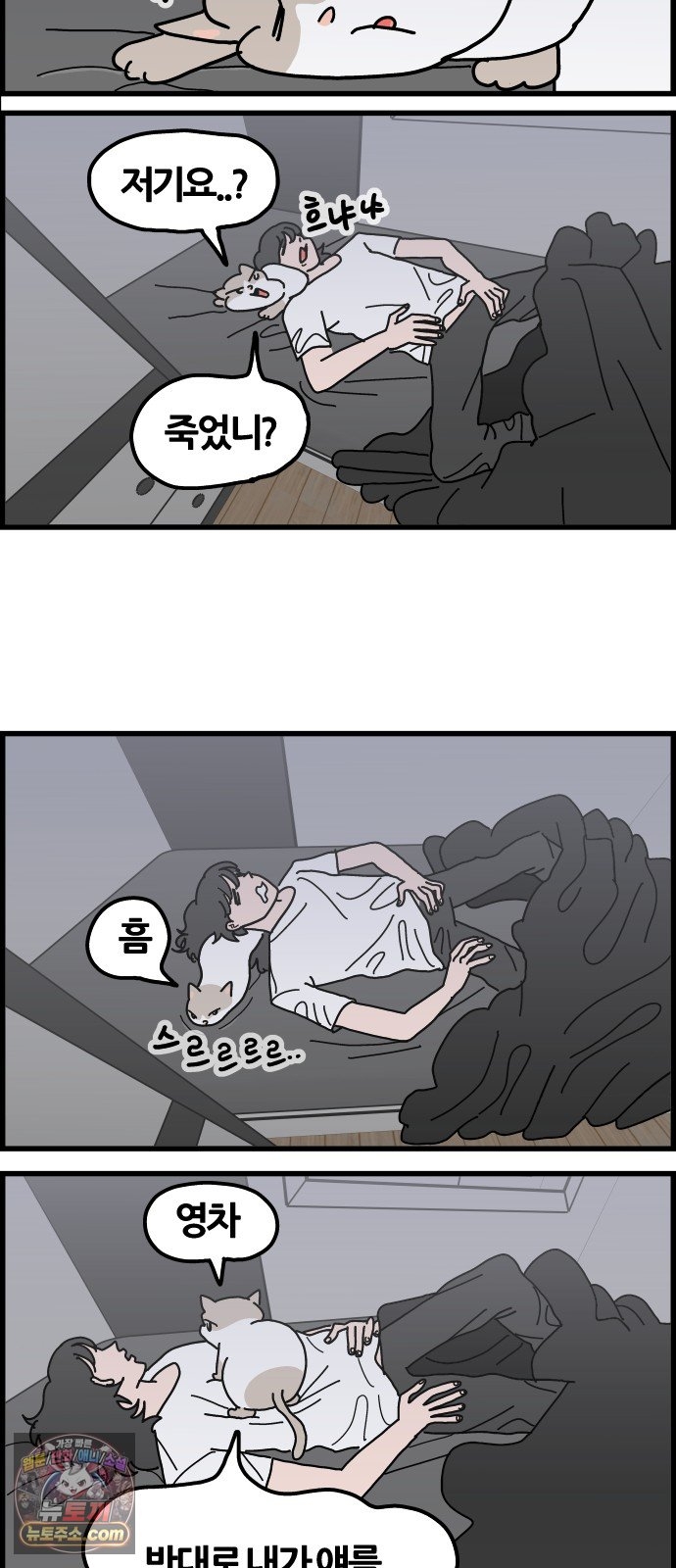 008.jpg