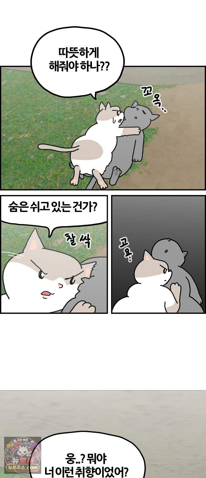 002.jpg