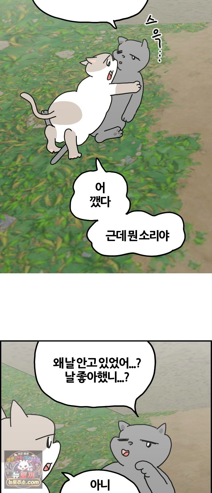 003.jpg