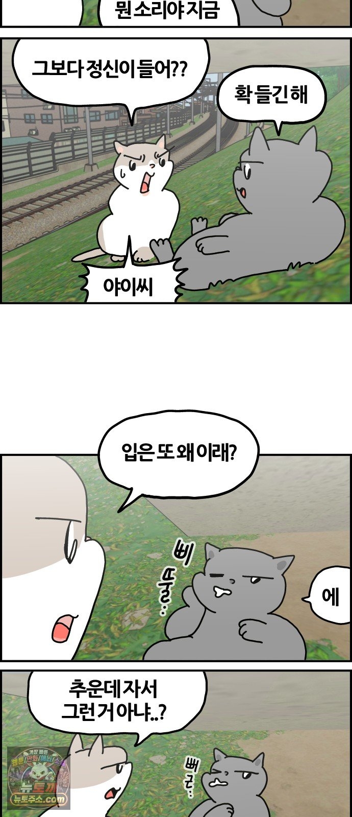 004.jpg