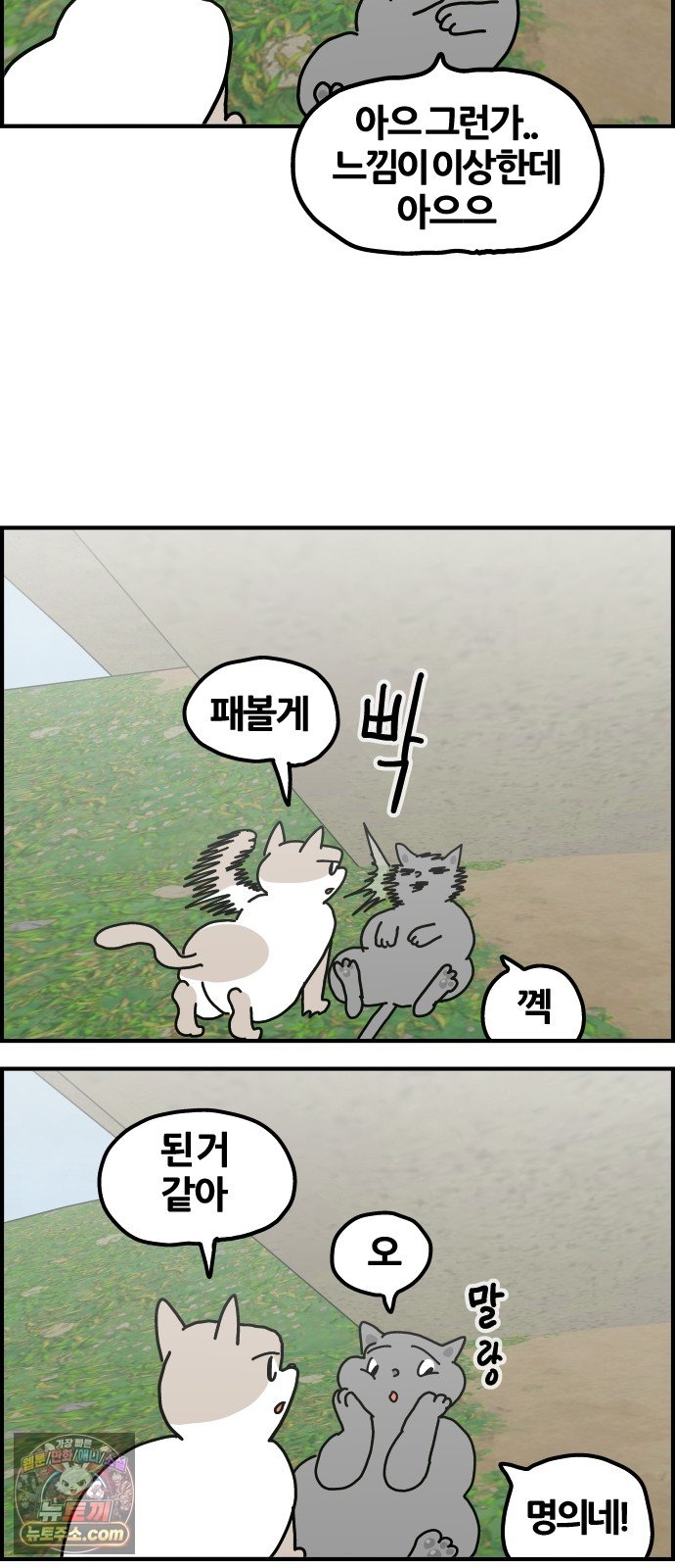 005.jpg