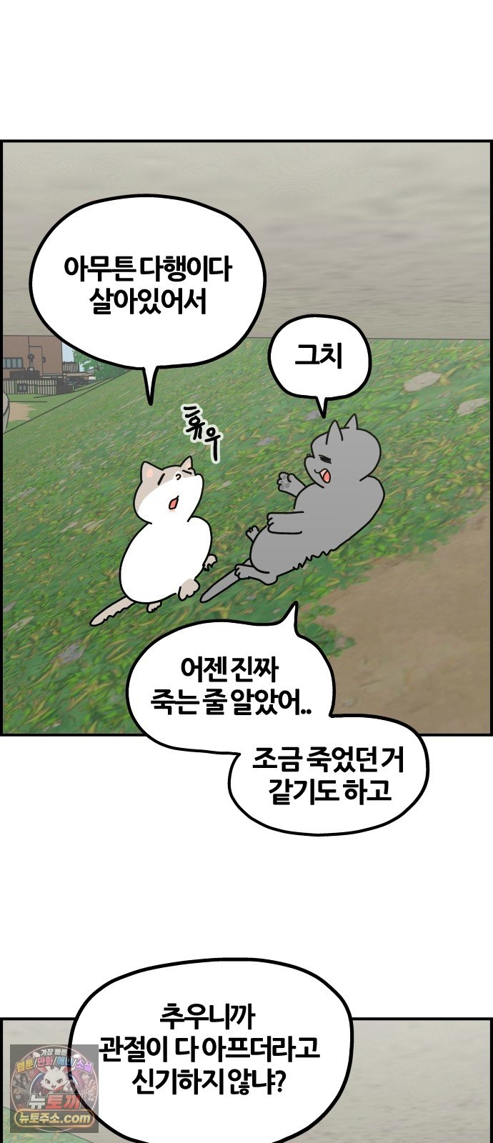 006.jpg