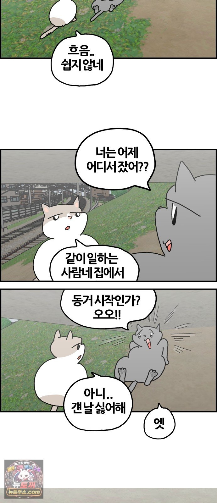008.jpg