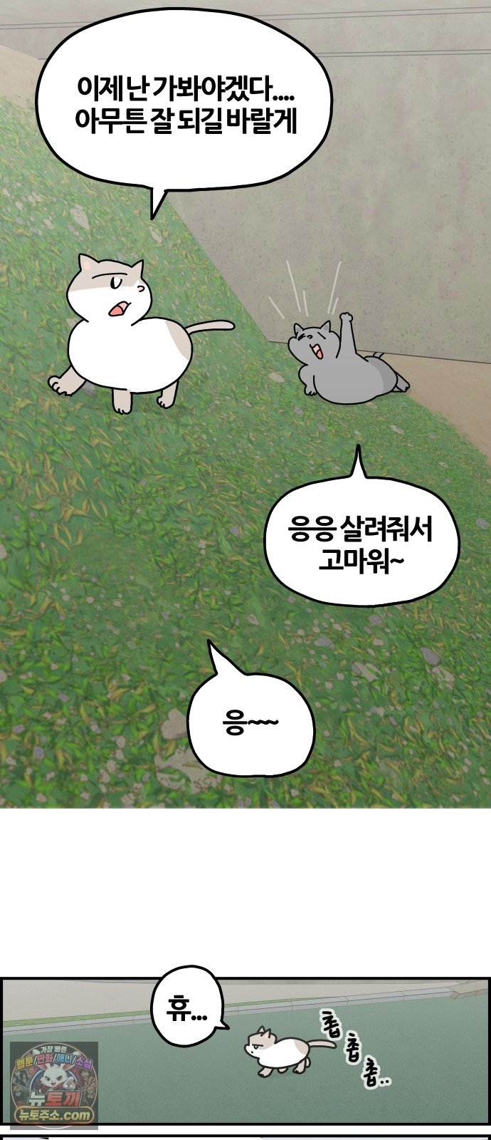 009.jpg