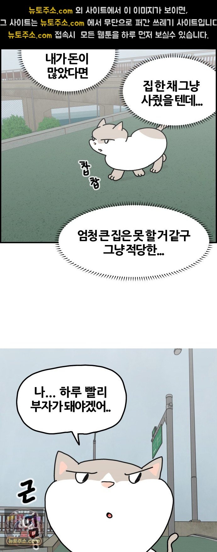 010.jpg