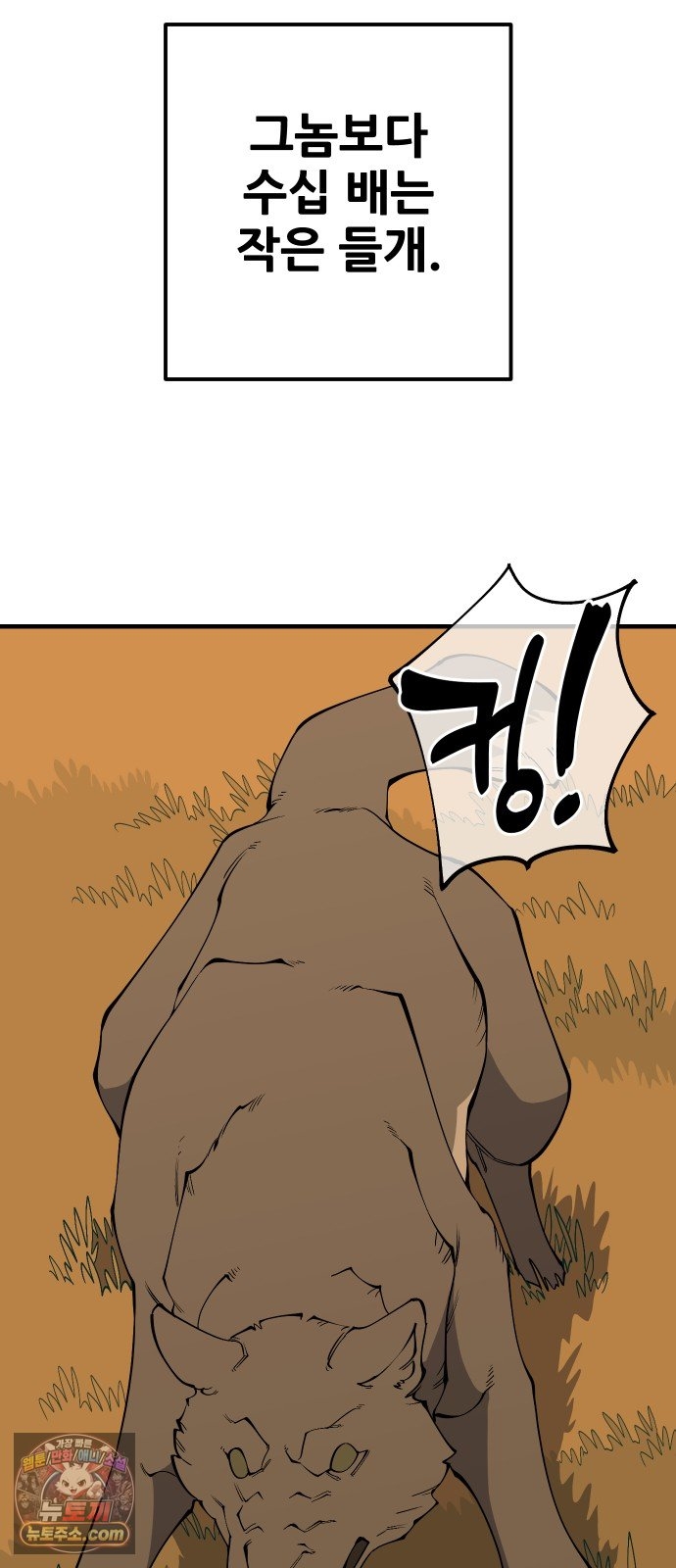 003.jpg