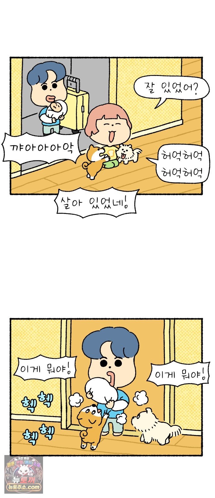 004.jpg