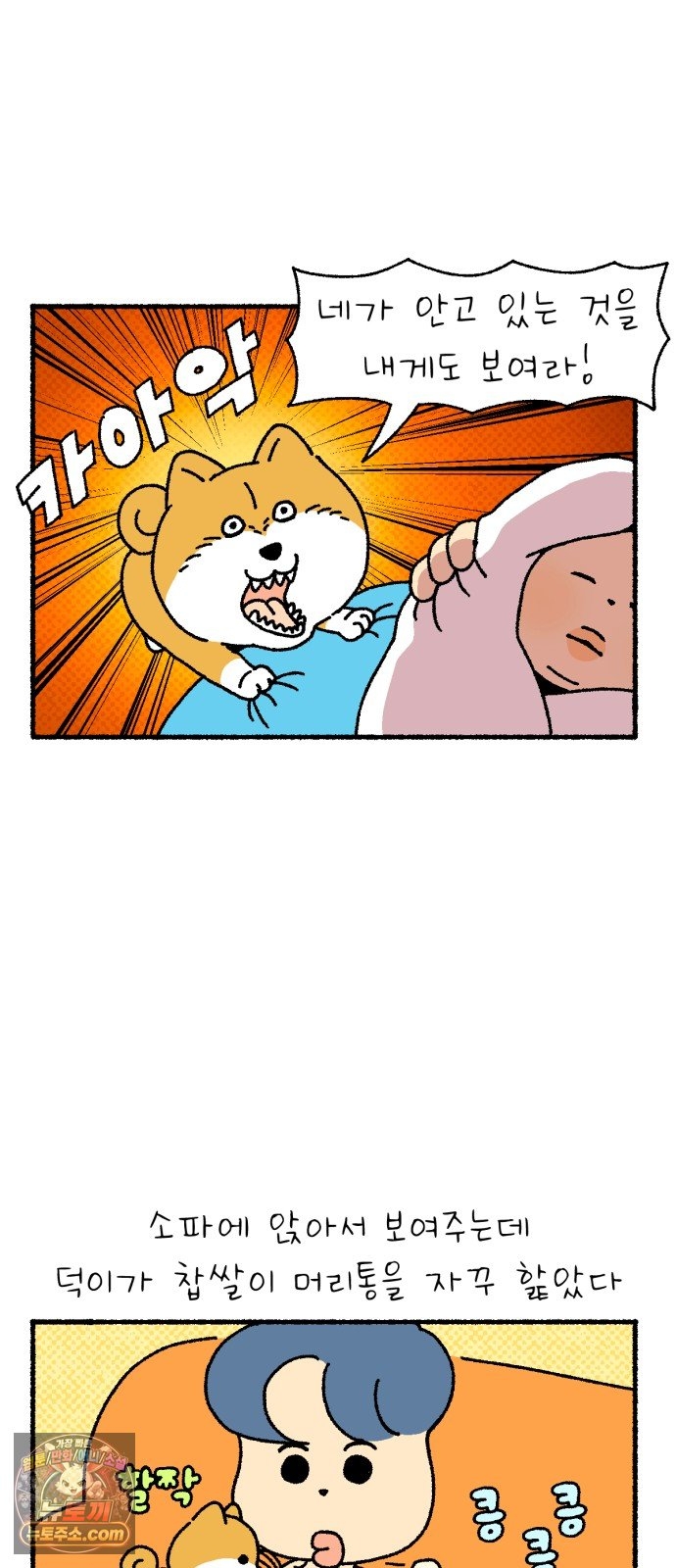 005.jpg