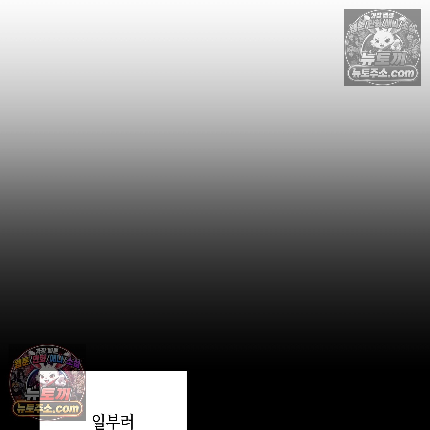 087.jpg