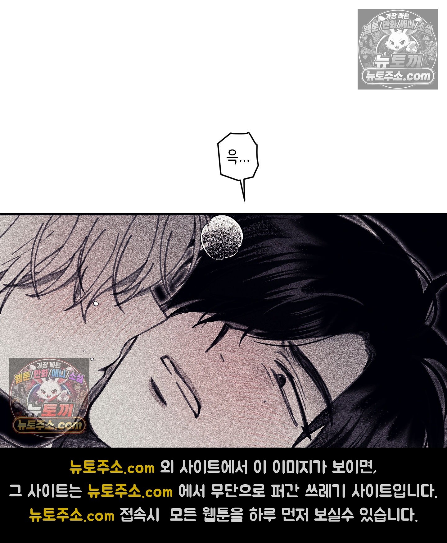 113.jpg