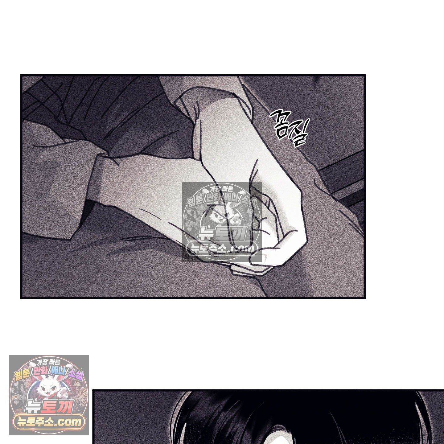 113.jpg