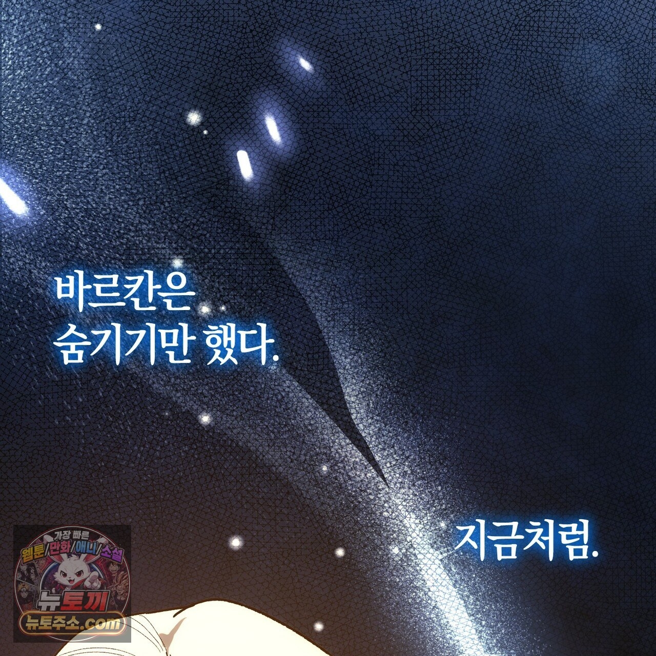 146.jpg