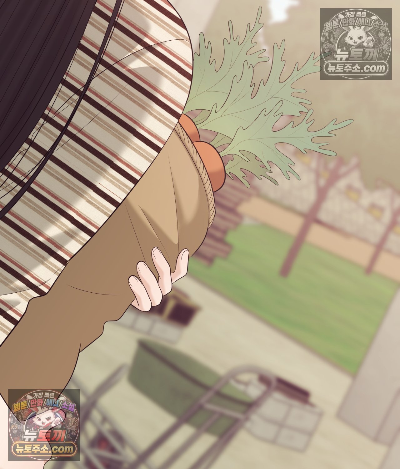 009.jpg