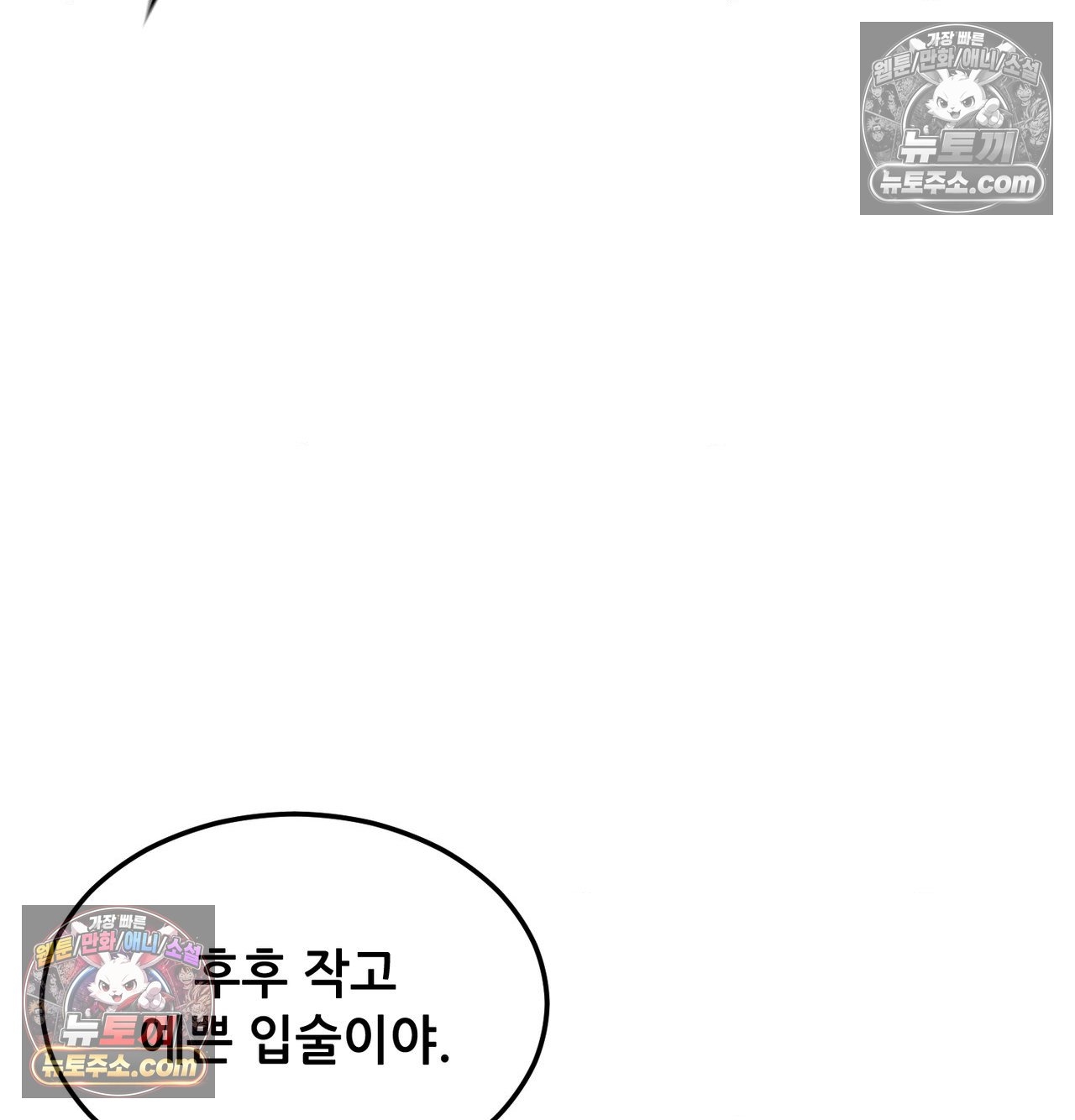 102.jpg