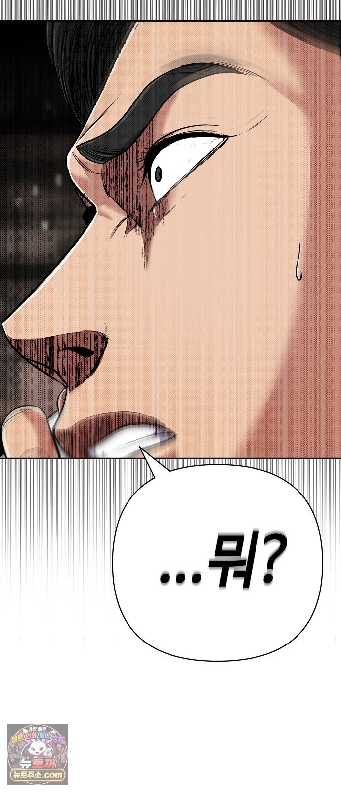 113.jpg