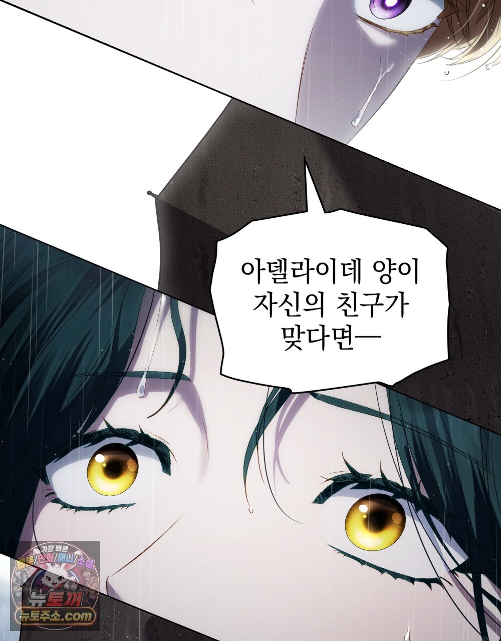 003.jpg