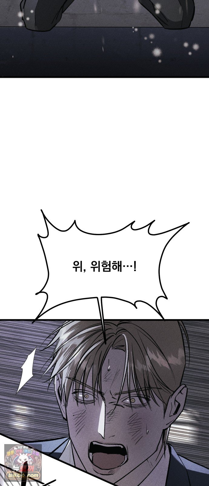 003.jpg