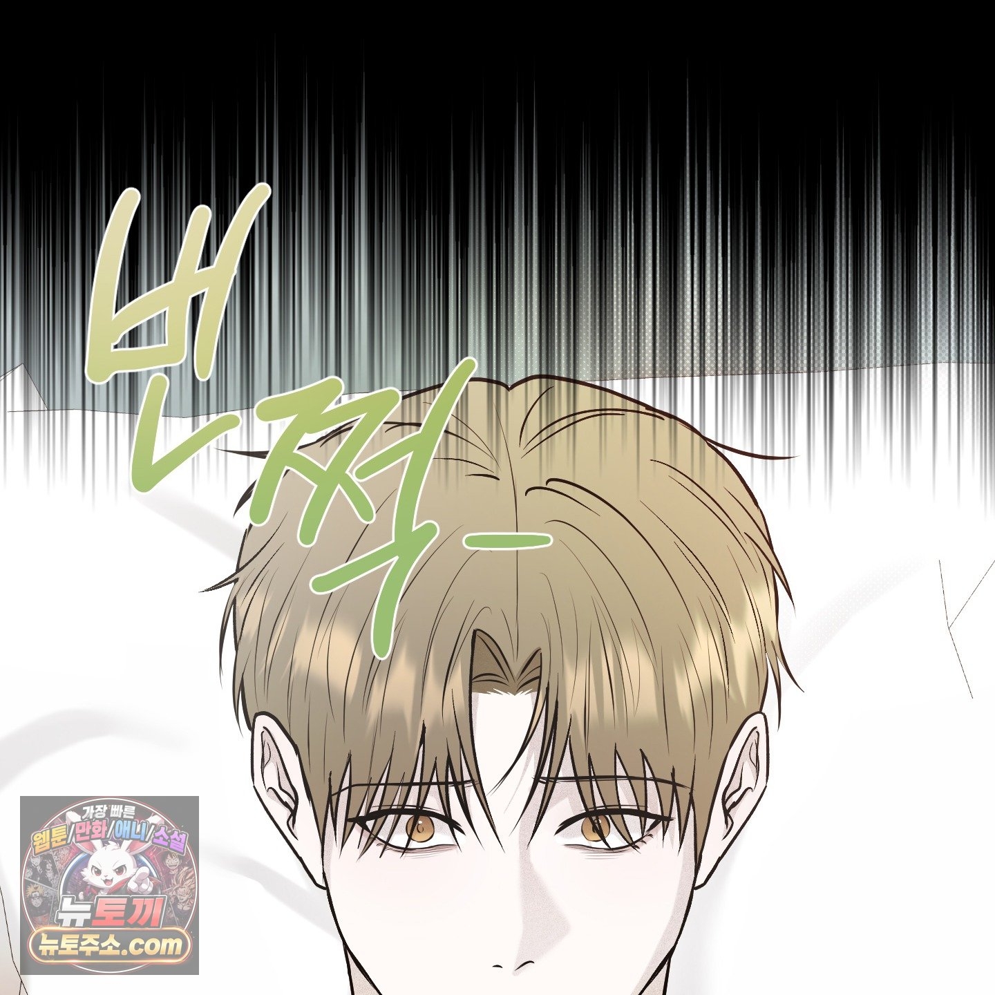 038.jpg