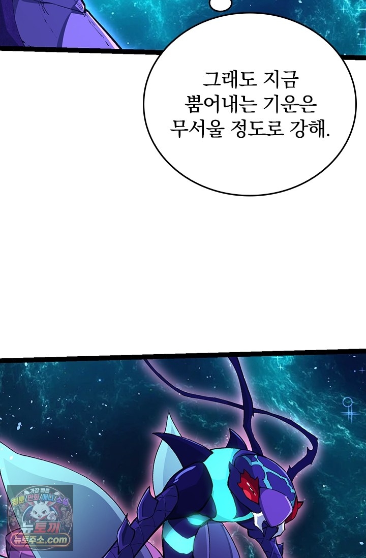 009.jpg