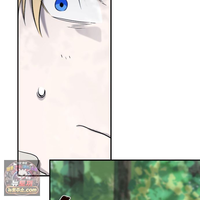 155.jpg
