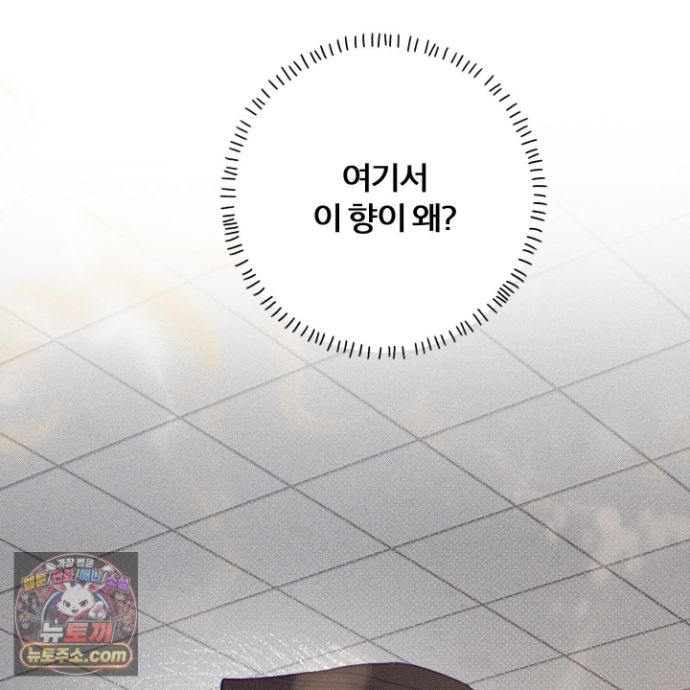 033.jpg