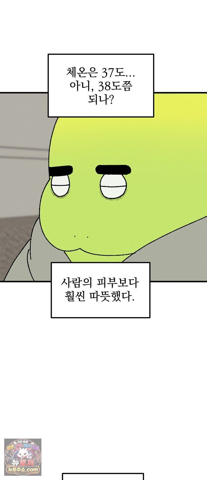 005.jpg
