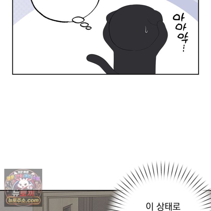 101.jpg