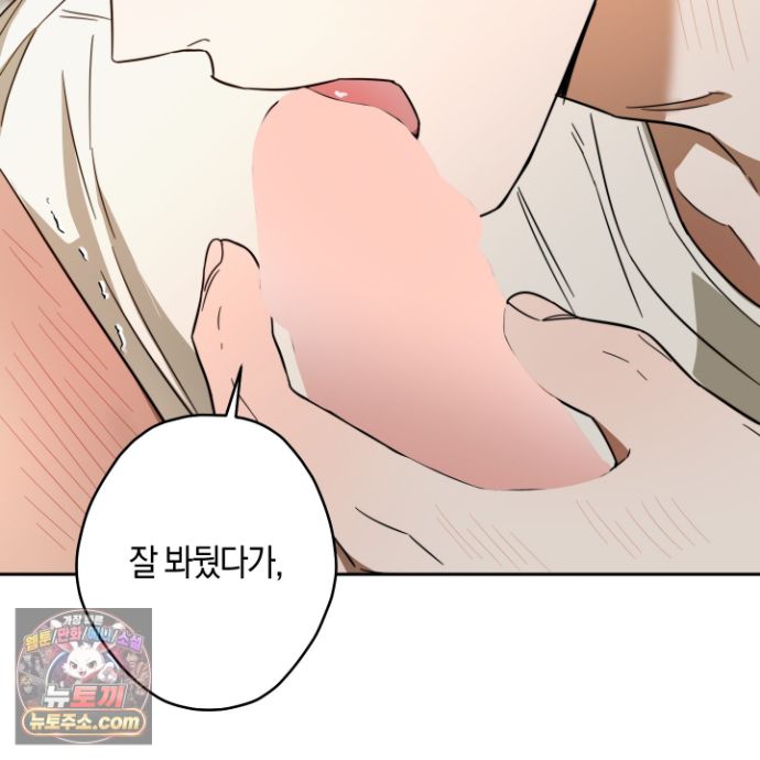 101.jpg