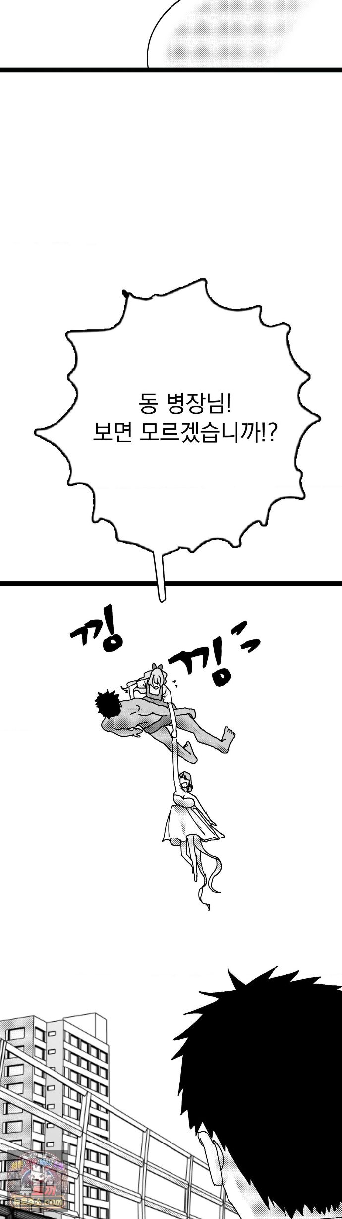 004.jpg