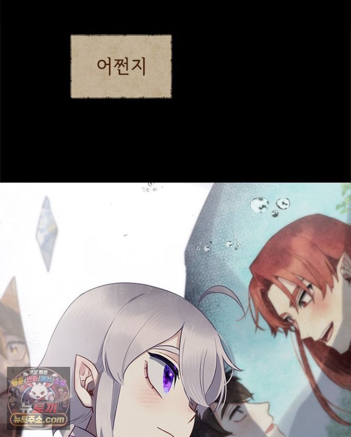 164.jpg