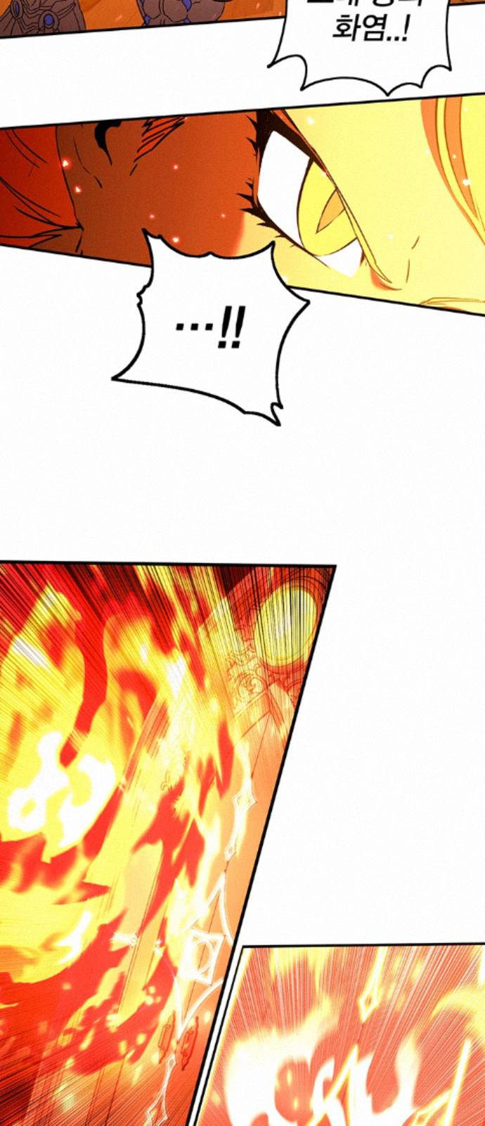 010.jpg