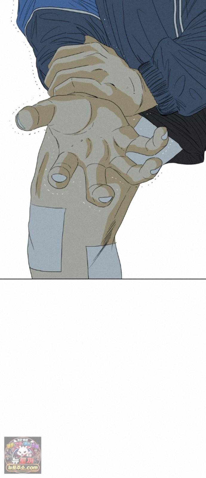 113.jpg
