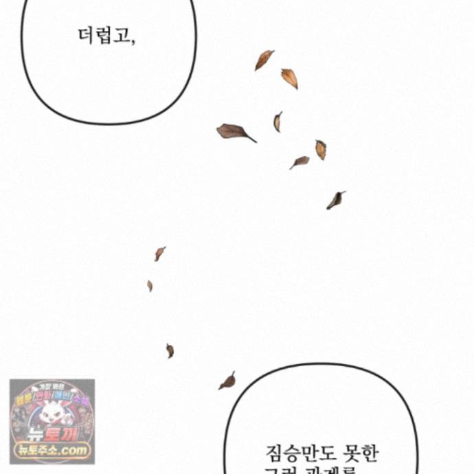 101.jpg