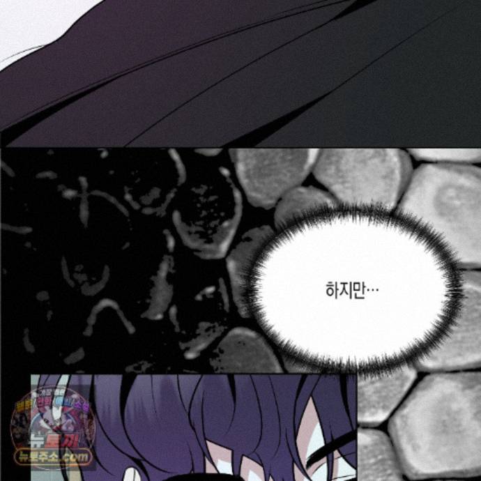 113.jpg