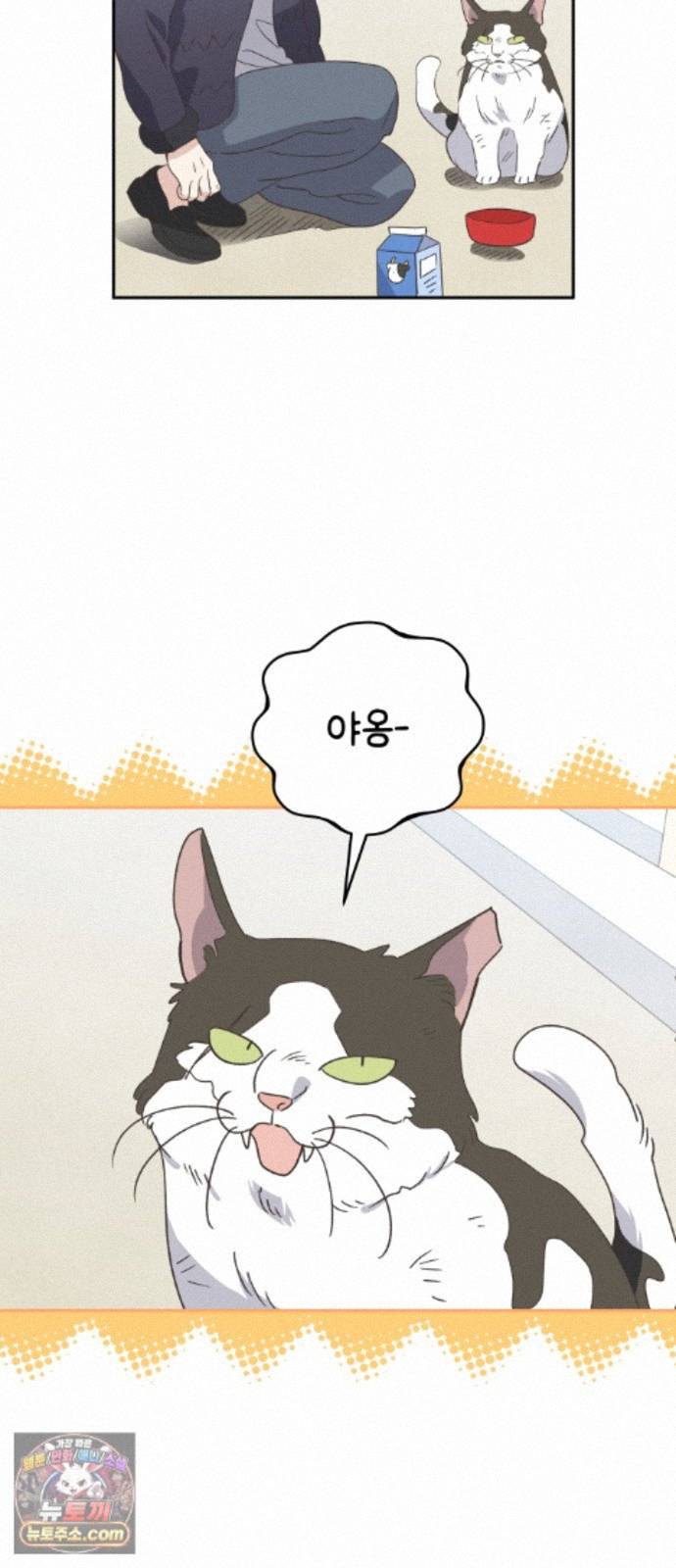 003.jpg