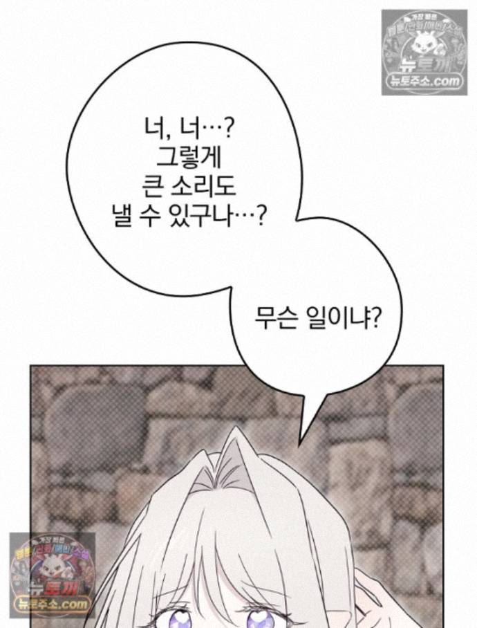 105.jpg