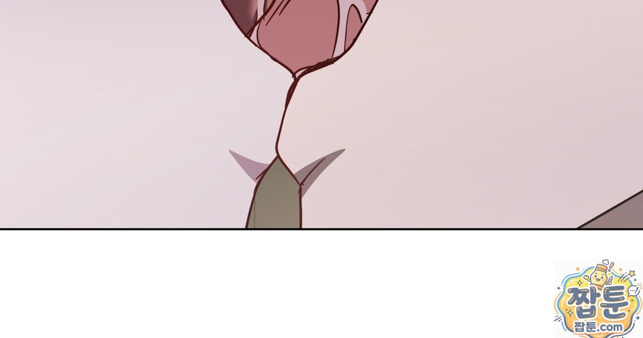 113.jpg