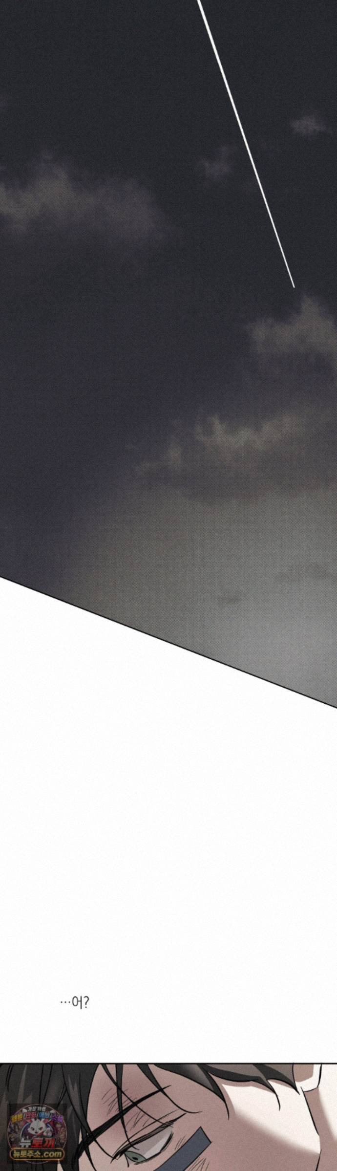 009.jpg