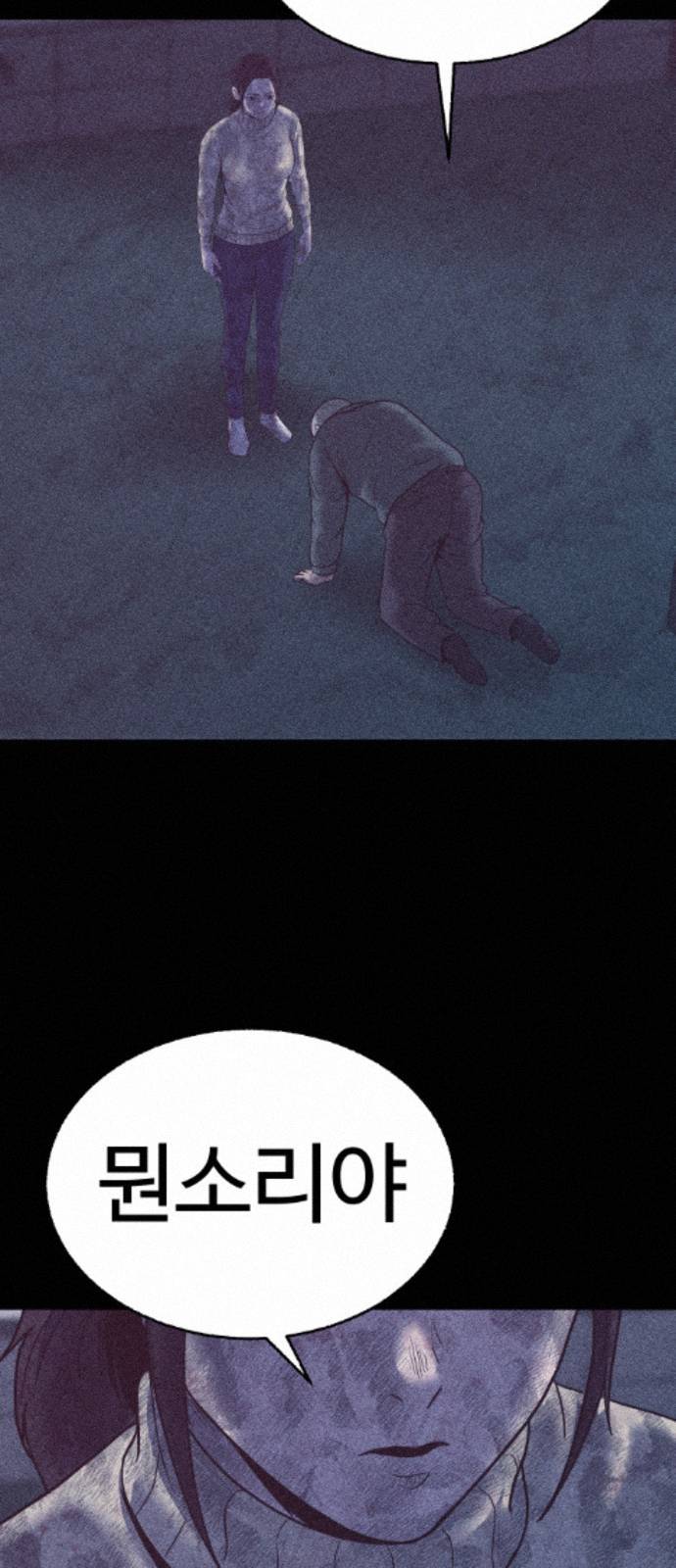 113.jpg