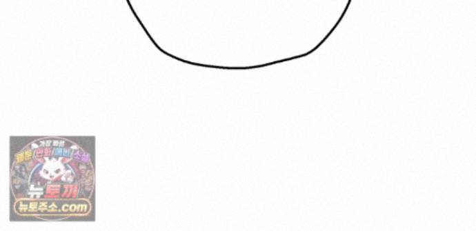 243.jpg