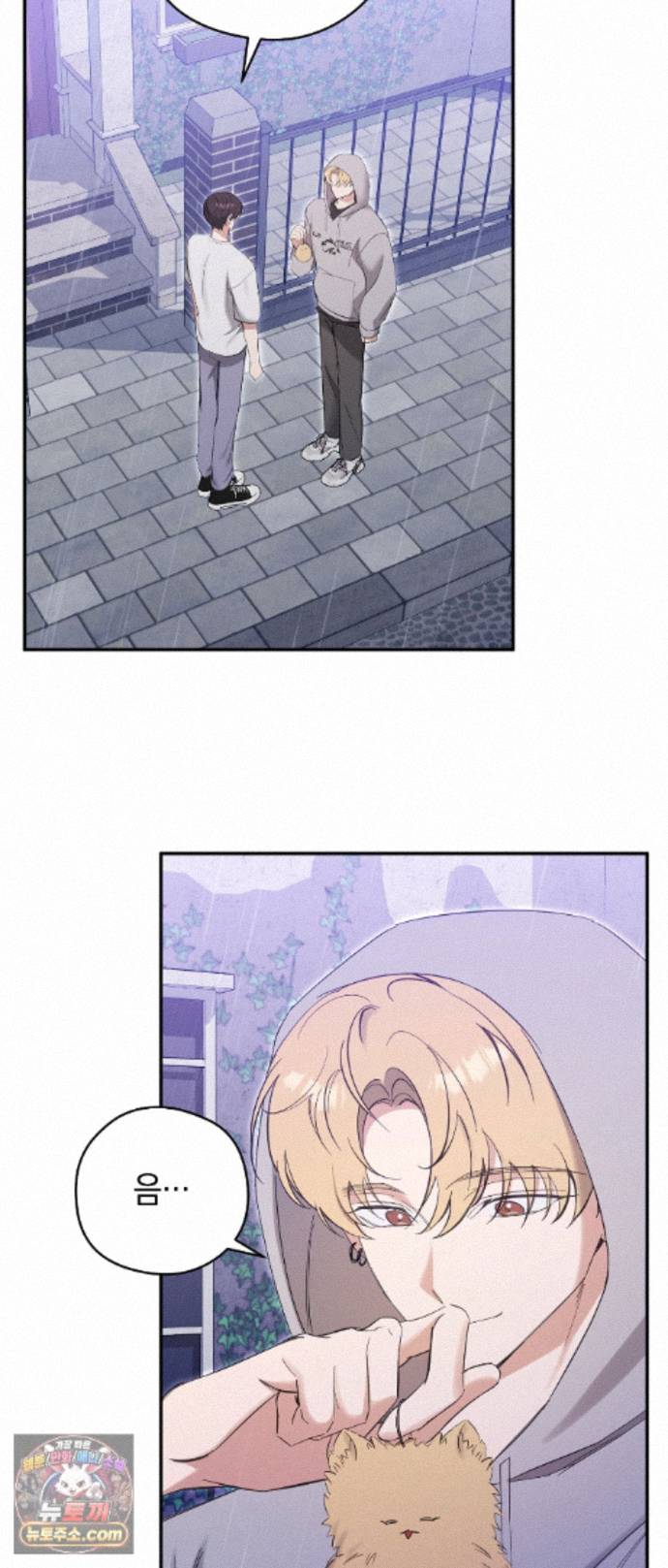 003.jpg