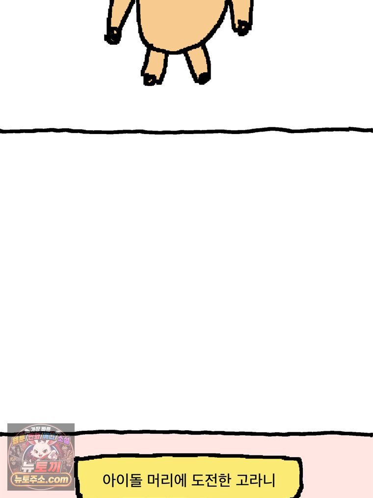 010.jpg