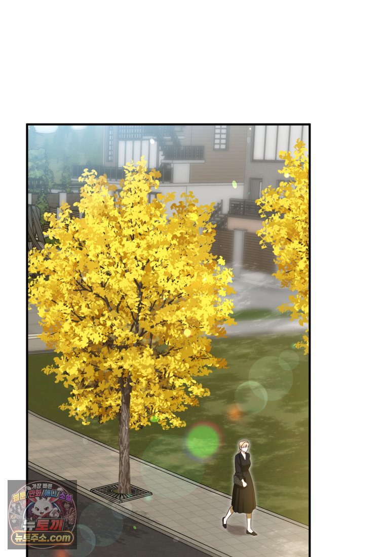 113.jpg