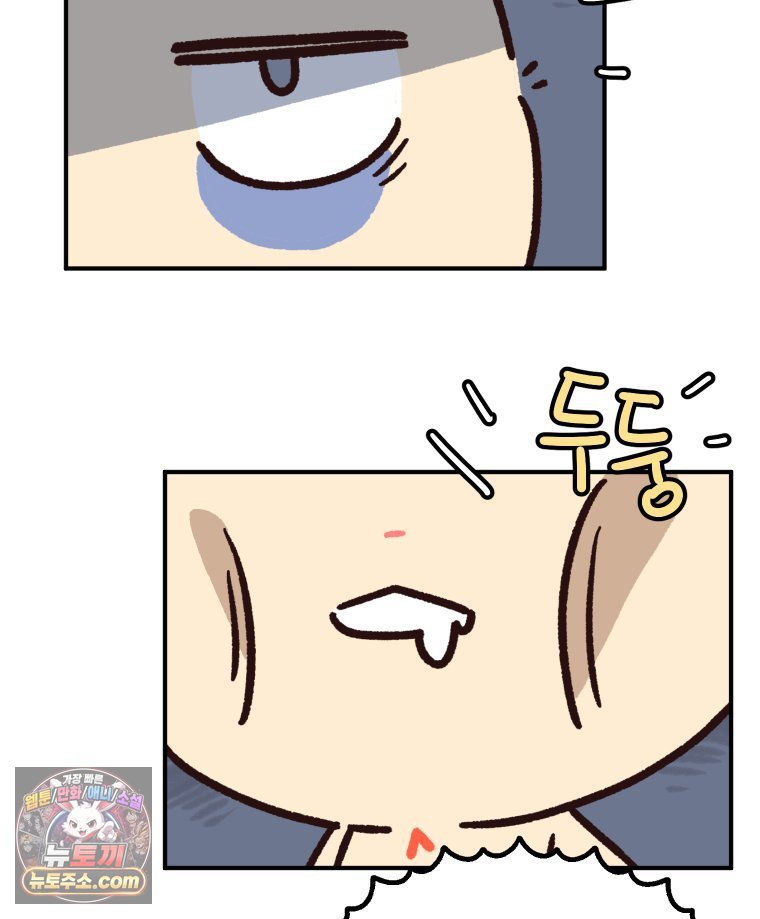 003.jpg