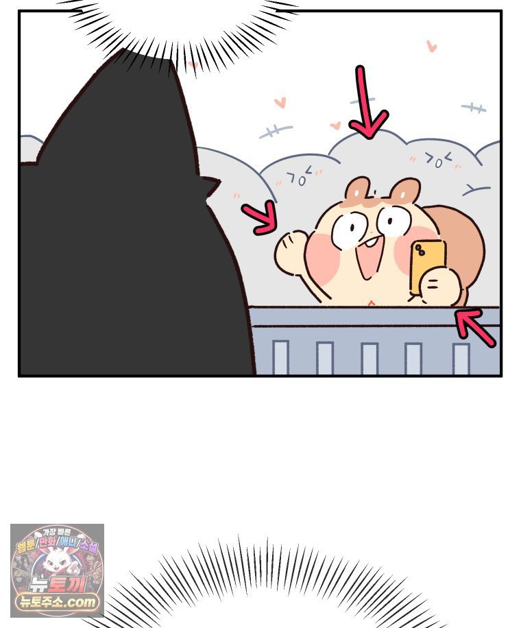 009.jpg