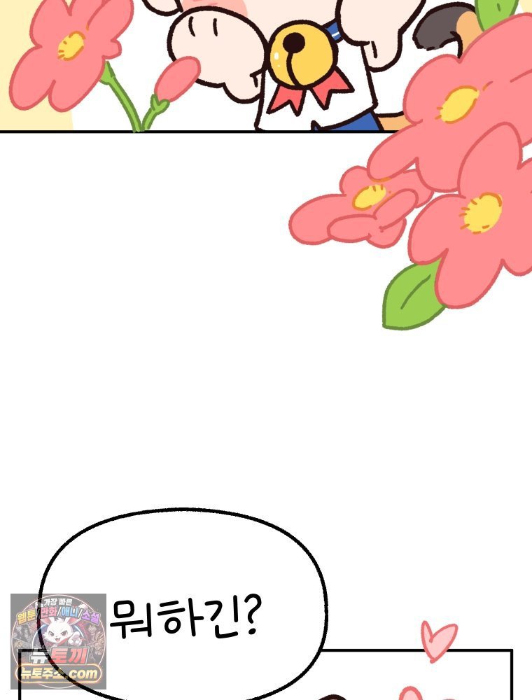 004.jpg
