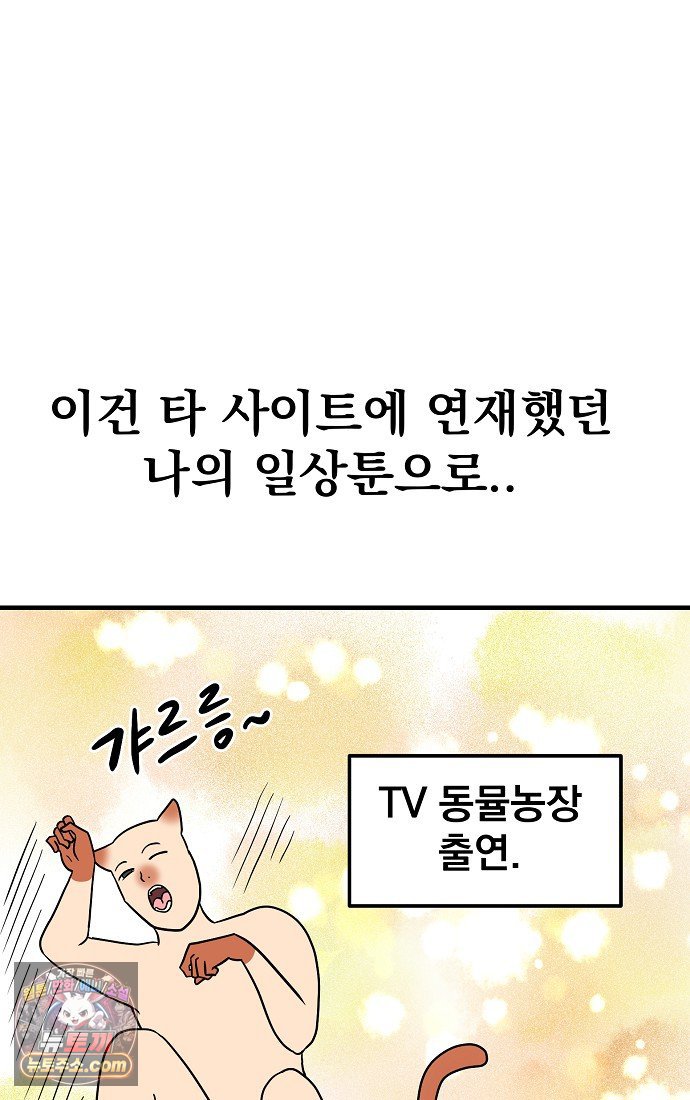 011.jpg