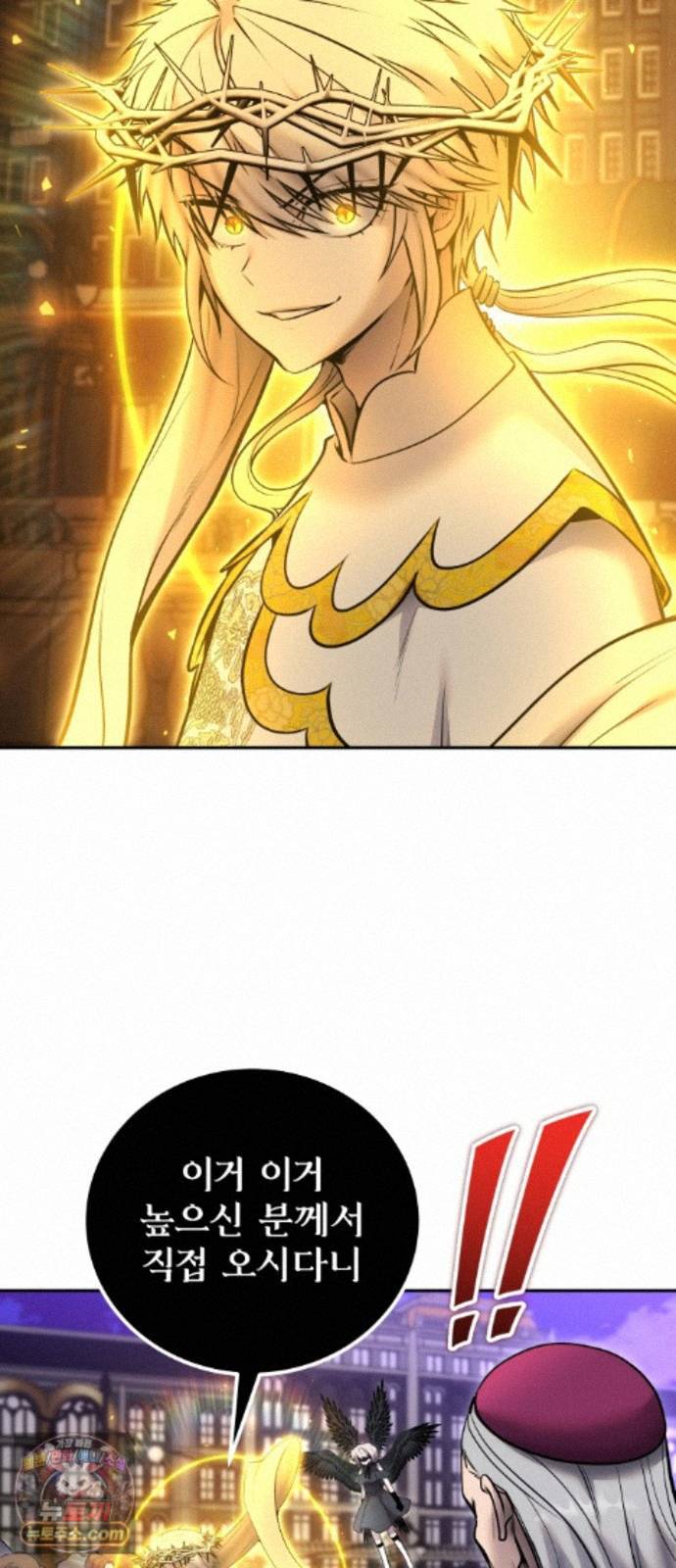009.jpg