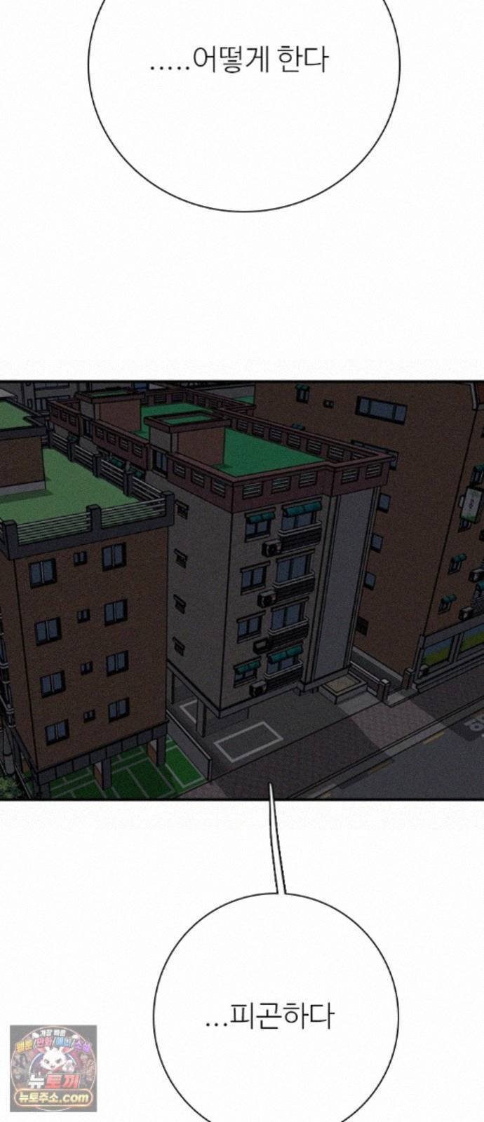 006.jpg